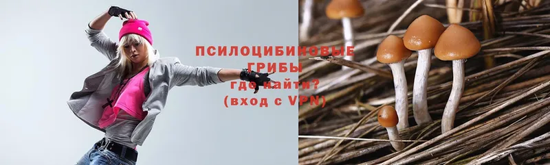 Галлюциногенные грибы Psilocybe  Островной 