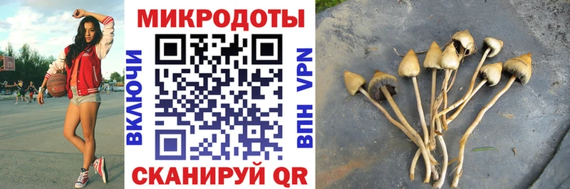 сайты даркнета формула где купить наркоту Островной Галлюциногенные грибы прущие грибы кракен рабочий сайт
